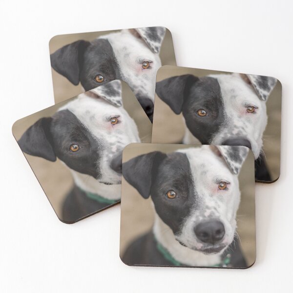 Item preview, Pitbull Portrait designed and sold by gsecker.