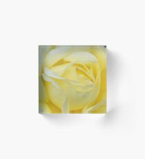 Heart of a Rose............Dorset UK Acrylic Block