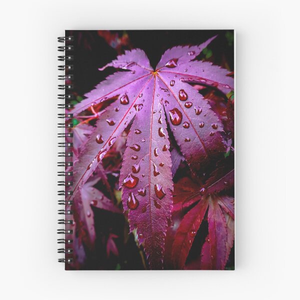 Item preview, West Coast Gardens: Lingering Rain designed and sold by Chancelrie.