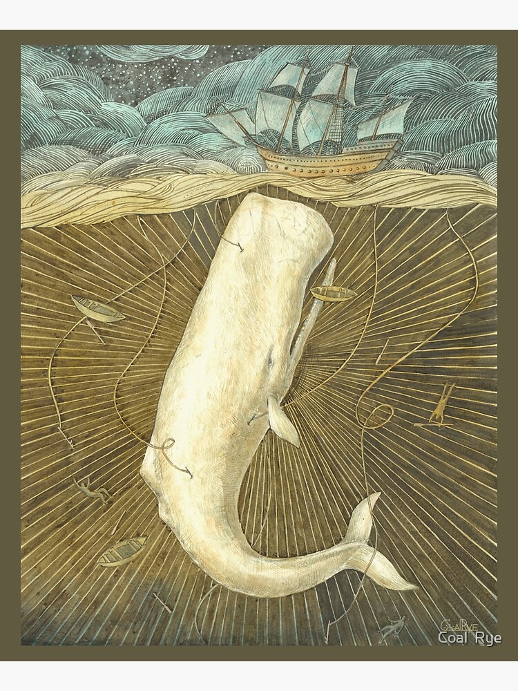 White Whale by juliacoalrye