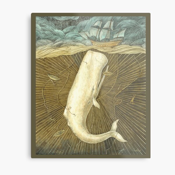 White Whale Metal Print