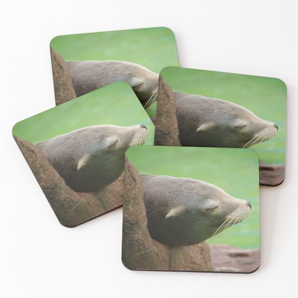 Item preview, Sleepy Sea Lion designed and sold by rawshutterbug.
