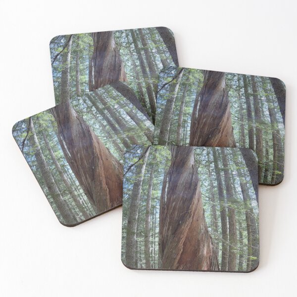 Item preview, Coast Redwood Spiral designed and sold by jdoscher.