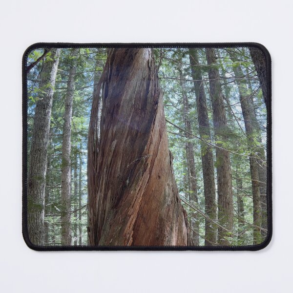 Item preview, Coast Redwood Spiral designed and sold by jdoscher.