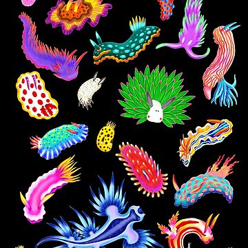 Rainbow Nudibranchs (Sea Slugs) Assortment | Tote Bag