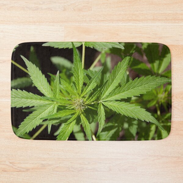 Item preview, Greenery scenery  designed and sold by Dripkomplex.