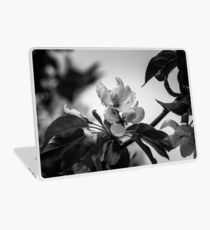 Flower macro Laptop Skin