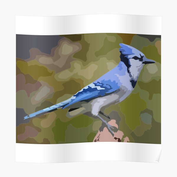 A beautiful Blue Jay bird' Poster by Sloka