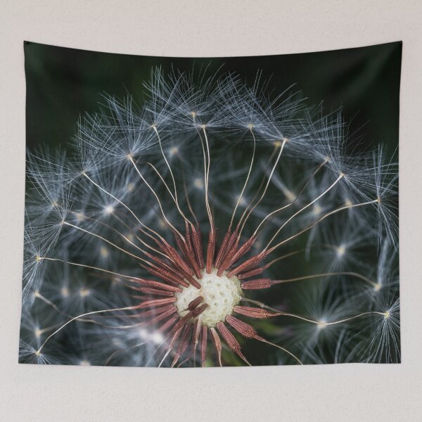 Item preview, Dandelion seeds designed and sold by Roger Porter Photography.