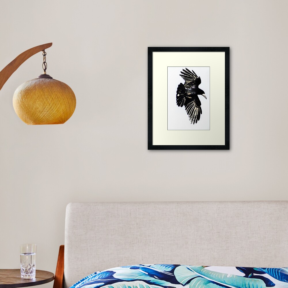 Huginn Framed Art Print