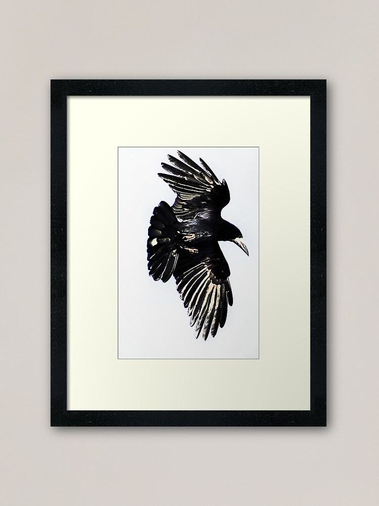 Thumbnail 1 of 7, Framed Art Print, Huginn designed and sold by DBailey.