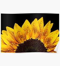 Happiness is Yellow Poster