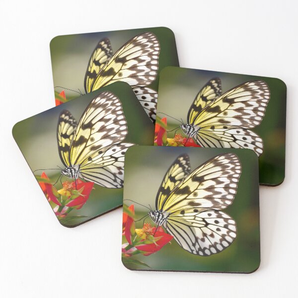 Item preview, Rice Paper Butterfly on Flowering Plant designed and sold by richardbryce.