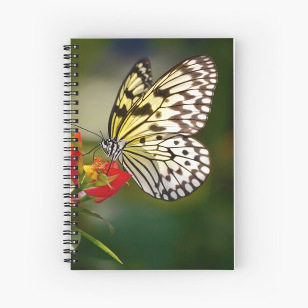 Rice Paper Butterfly on Flowering Plant Spiral Notebook