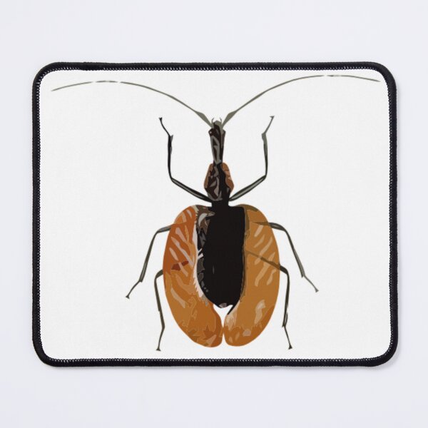 Item preview, Violin Beetle Digital Painting designed and sold by Positive Lad.