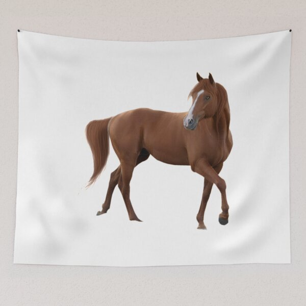 Item preview, California Chrome Horse    designed and sold by Tallybuhalo.