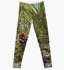 Pine tree Leggings