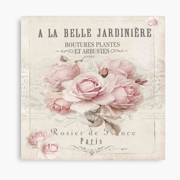 french shabby chic Canvas Print