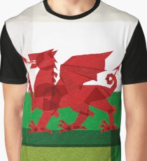 Wales Graphic T-Shirt