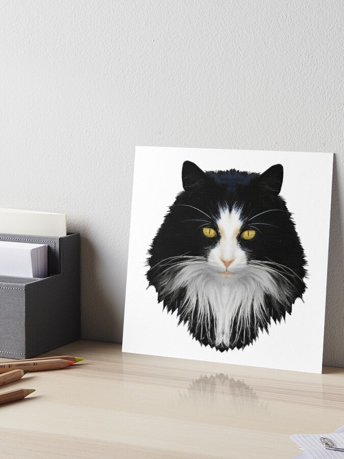 Big face cat, an art print by Lei Lei - INPRNT