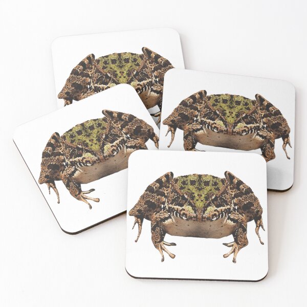 Item preview, sitting marsh frog, amphibian, animal lover shirts, frogs designed and sold by Kirei-Lily.