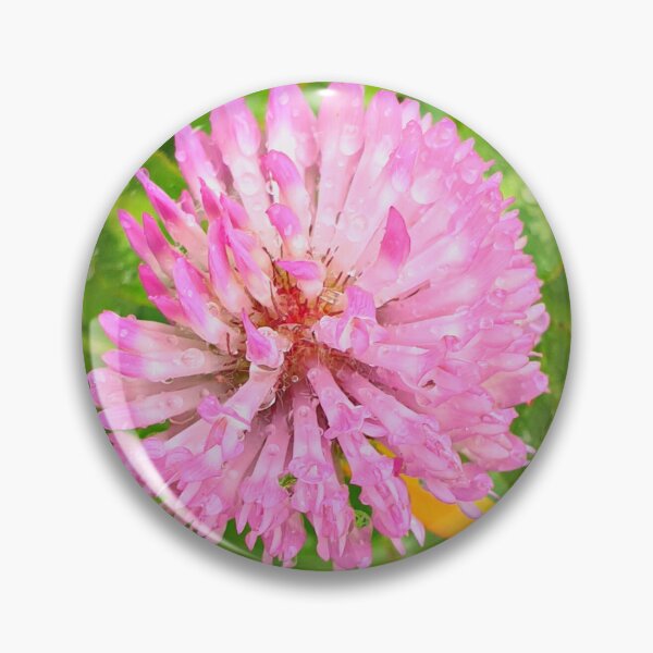 Item preview, Pretty Pink Red Clover Flower stretching above the Green Grass, with Morning Dew designed and sold by CreateShape.