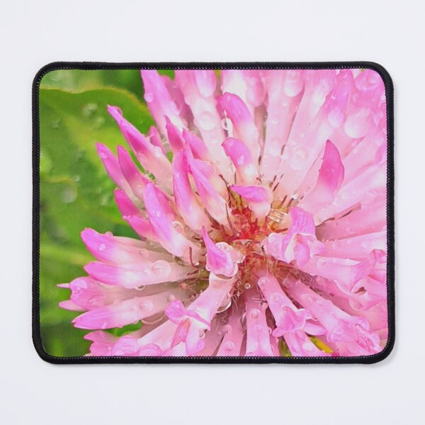 Item preview, Pretty Pink Red Clover Flower stretching above the Green Grass, with Morning Dew designed and sold by CreateShape.