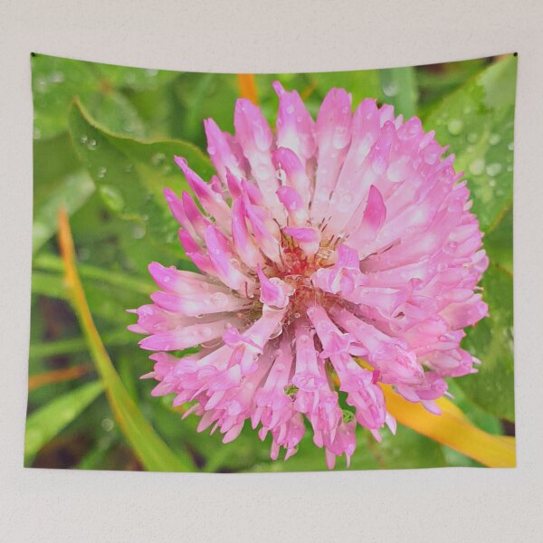 Item preview, Pretty Pink Red Clover Flower stretching above the Green Grass, with Morning Dew designed and sold by CreateShape.