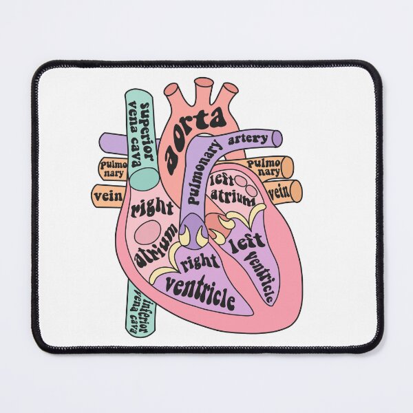 Item preview, Anatomical heart  designed and sold by Preslava Genova.