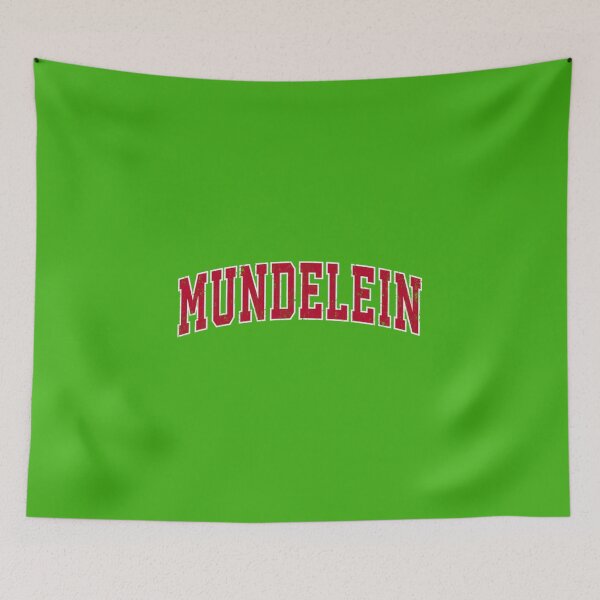 Item preview, Mundelein Illinois IL  designed and sold by EconTell.