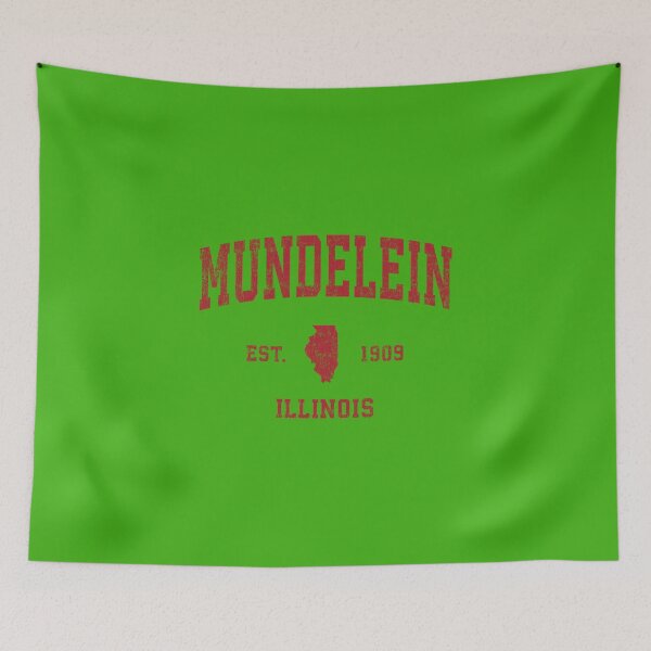 Item preview, Mundelein Illinois IL designed and sold by EconTell.