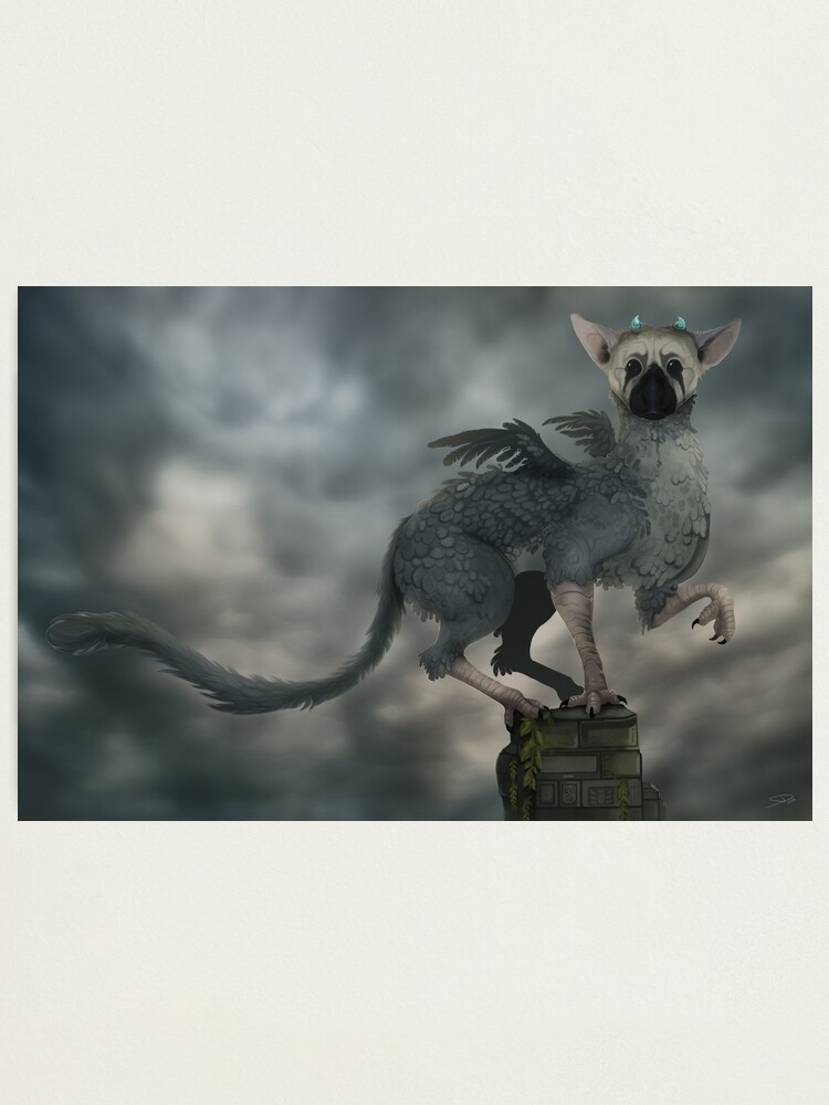 Trico from the Last Guardian Digital art : r/thelastguardian