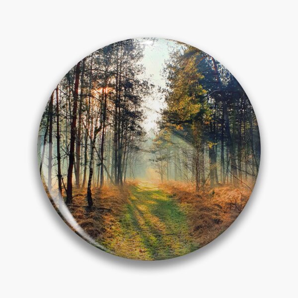 Item preview, Beautiful sunny autumn afternoon relaxing forest nature walk designed and sold by Aviation Tees.