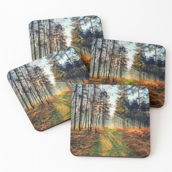 Item preview, Beautiful sunny autumn afternoon relaxing forest nature walk designed and sold by Aviation Tees.
