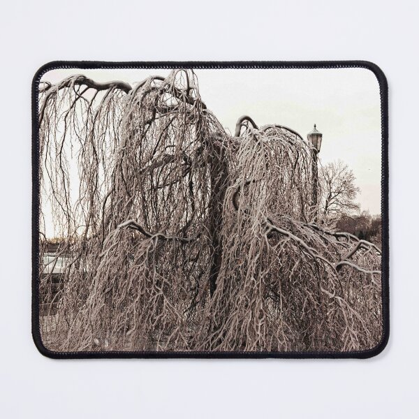 Item preview, Having A Bad Hair Day © designed and sold by © Hany G. Jadaa © Prince John Photography.