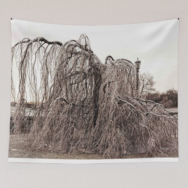 Item preview, Having A Bad Hair Day © designed and sold by © Hany G. Jadaa © Prince John Photography.