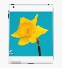 Daffodil iPad Case/Skin