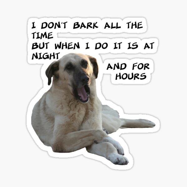 Artikel-Vorschau von Ich belle nicht die ganze Zeit Kangal mit süßem Gesichtsausdruck, designt und verkauft von taiche.
