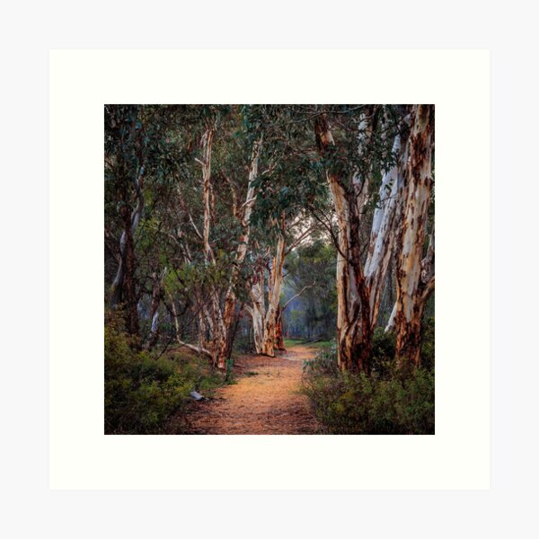 Item preview, Congelin - Western Australia designed and sold by Images by Chris de Blank.