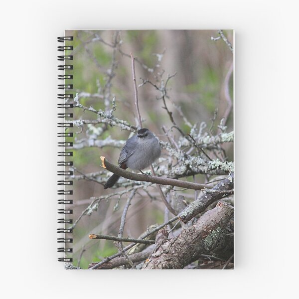 Item preview, Gray Catbird designed and sold by Linda Crockett.
