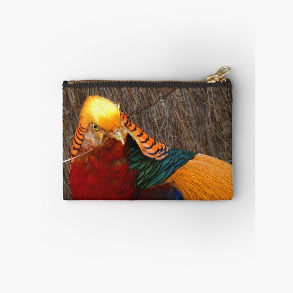 Item preview, Bright & Beautiful - Golden Pheasant - NZ - Invercargill designed and sold by AndreaEL.