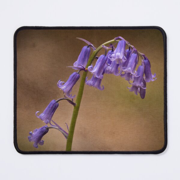 Item preview, Woodland Bluebells designed and sold by Incakola1.