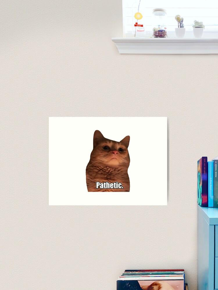 HQ Pathetic Cat Meme Cursed Face | Poster