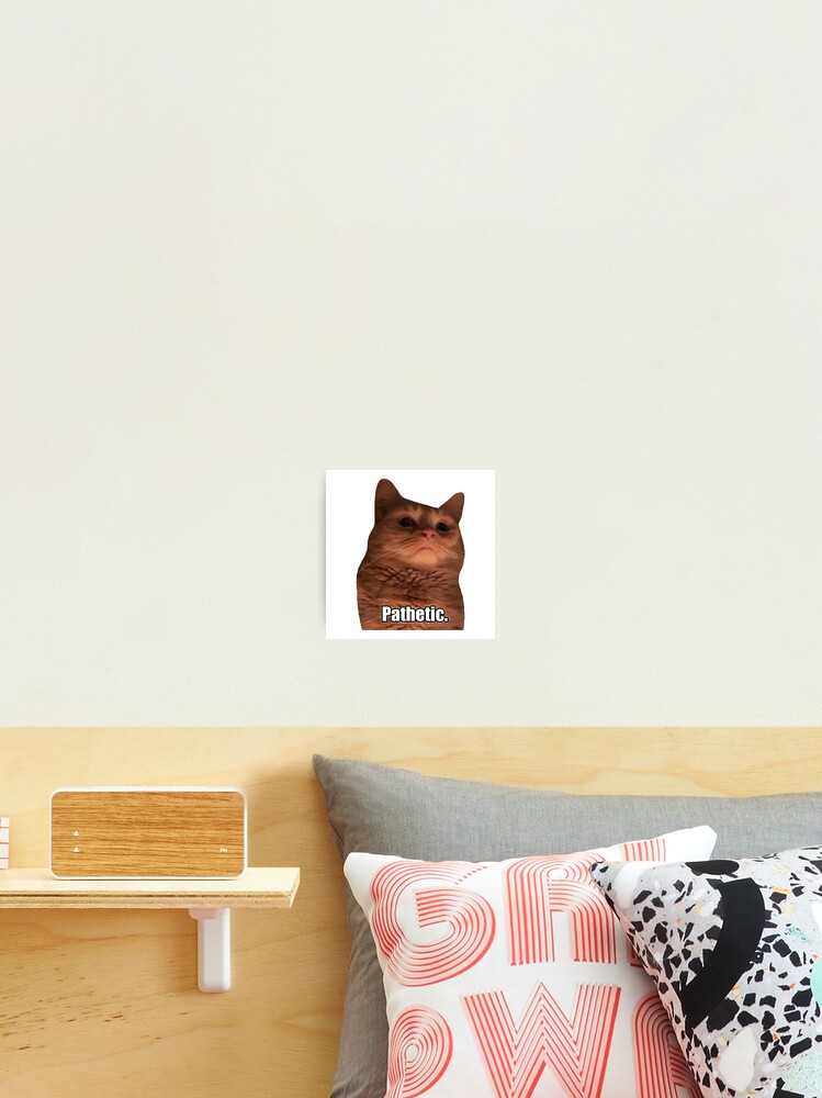 HQ Pathetic Cat Meme Cursed Face | Poster