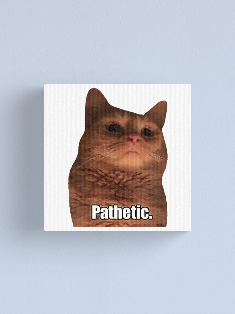 HQ Sad Crying Cat Standing Up Meme Photographic Print for Sale by  fomodesigns