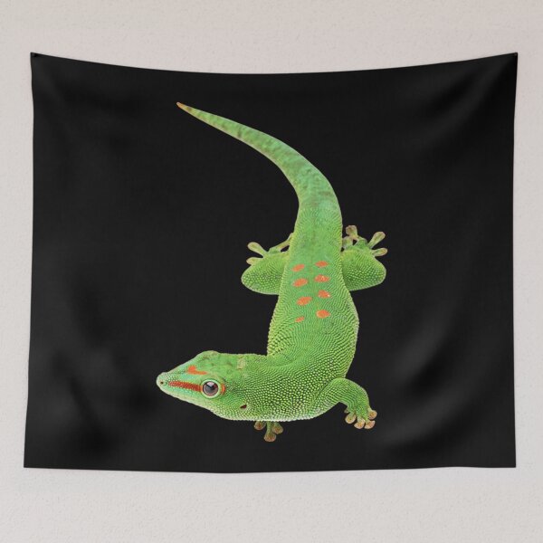 Item preview, Lizard T-ShirtLizard designed and sold by DavidHapper.