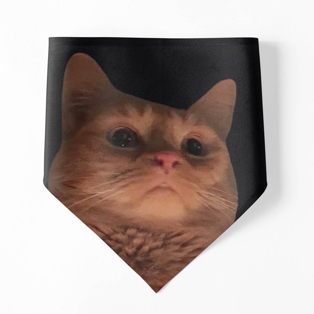 HQ Pathetic Cat Meme Cursed Face | iPad Case & Skin