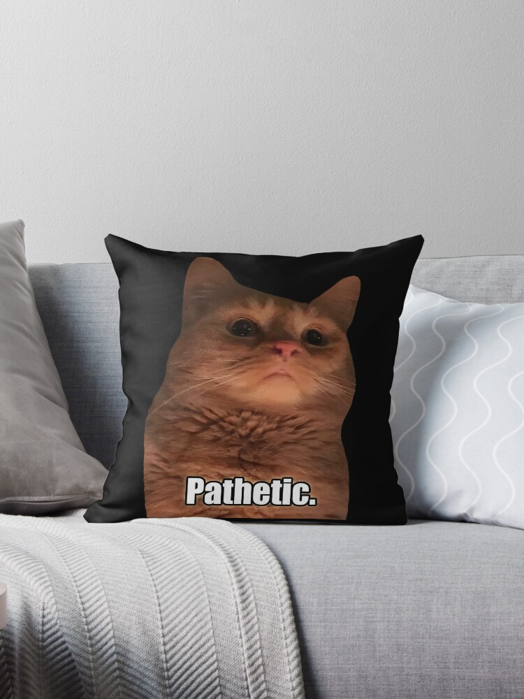 HD Pathetic Cat Meme Face | Poster