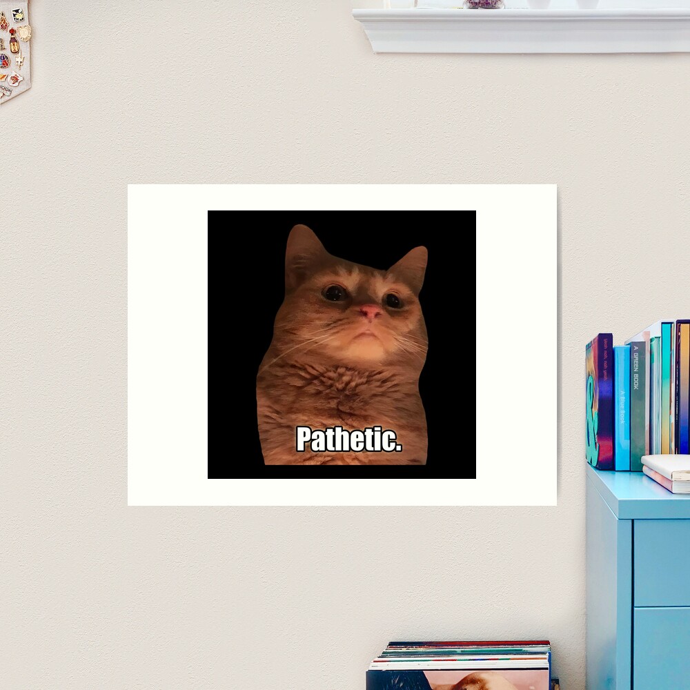 HQ Pathetic Cat Meme Cursed Face | Poster