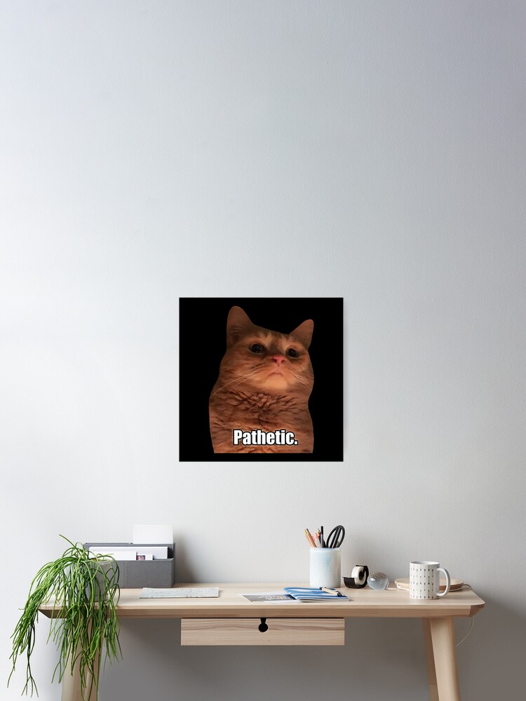 HQ Pathetic Cat Meme Cursed Face | Poster